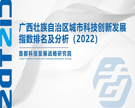 吊屄影院【成果发布】广西壮族自治区城市科技创新发展指数排名及分析（2022）